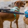 Ruffwear Double Track™ Coupler – Premium splitterkoppel med stretch för två hundar