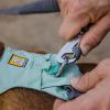 Ruffwear Double Track™ Coupler – Premium splitterkoppel med stretch för två hundar
