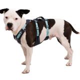 Ruffwear Flagline Harness, innovativ hundsele i flera färger