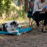 Ruffwear Gnawt-a-Stick - Apport leksak