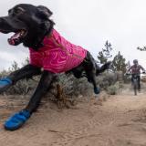 Ruffwear Hi & Light™ Trail Shoes – lätta, flexibla hundskor