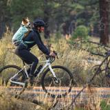 Ruffwear Hitch Hiker™ Hundbärryggsäck