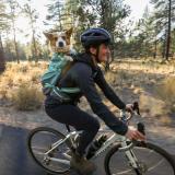 Ruffwear Hitch Hiker™ Hundbärryggsäck