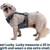 Ruffwear Load Up Harness Bilsele