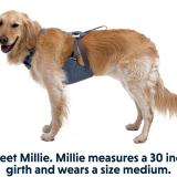 Ruffwear Load Up Harness Bilsele