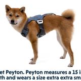 Ruffwear Load Up Harness Bilsele