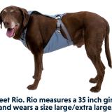 Ruffwear Load Up Harness Bilsele