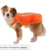 Ruffwear Lumenglow High-Vis Vest