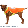Ruffwear Lumenglow High-Vis Vest