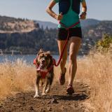 Ruffwear Roamer™ löpar/aktivitetskoppel
