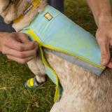 Ruffwear Swamp Cooler Zip™ Vest, Salmon Pink
