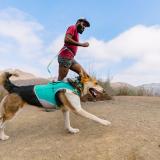 Ruffwear Swamp Cooler Zip™ Vest, Aurora Teal