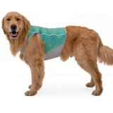 Ruffwear Swamp Cooler Zip™ Vest, Aurora Teal
