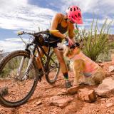 Ruffwear Swamp Cooler Zip™ Vest, Salmon Pink