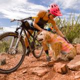 Ruffwear Swamp Cooler Zip™ Vest, Salmon Pink