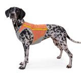 Ruffwear Swamp Cooler Zip™ Vest, Salmon Pink
