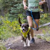Ruffwear Trail Runner™ Leash, - löparkoppel, Blue Pool