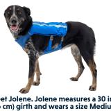 Ruffwear Trail Runner™ Löpväst, finns i två färger