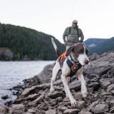 Ruffwear Webmaster Harness - Storsäljande hundsele