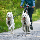 Tvillingkoppel för två hundar – Touring Double
