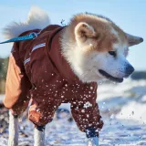 Vattentät regnoverall – Mudventure Overall ECO