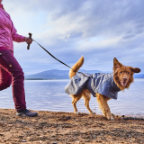 Weekend Warrior Standard Leash (Standardkoppel)