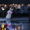 Dogman Blinkhalsband LED - syns tydligt i mörker och regn - Grön - 260619