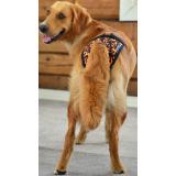 Jokke Janutex Tikskydd - Flames, 0 - Chihuahua - 6240000526