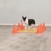 Trixie Dog Activity Hinderset – Agility och träning för hund i alla åldrar, 3 hinder - 32091