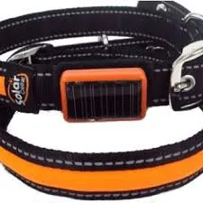 B-Green & B-Seen Collar