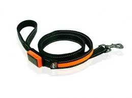 B-Green & B-Seen Leash