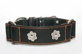 Dog Artist Flower Collar