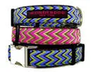 Wonderdog NYC Sirén halsband