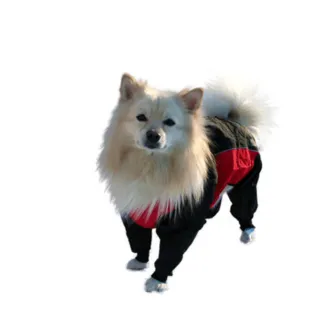 Zipp Regnoverall för hund