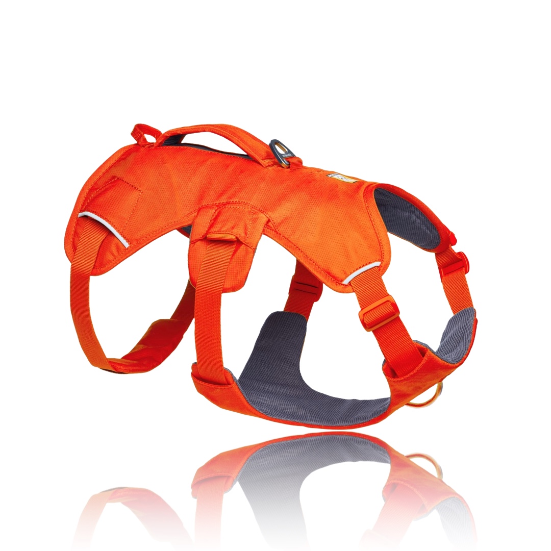 Ruffwear Webmaster Harness - Storsäljande hundsele - Orange Blaze, XXS - 30104-850S2