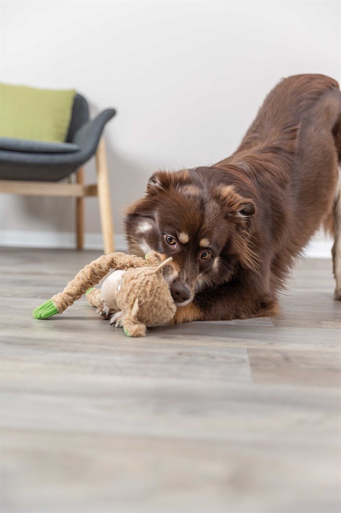 Trixie Ko Plyschleksak Med Rep Och Pip 50 cm - 34721