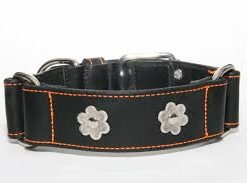 Dog Artist Flower Collar