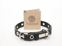 Dog Artist Rock Collar