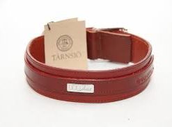 Hundhalsband, Dog Artist Lucky Collar