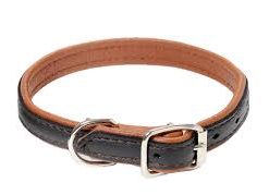 Jokke King Svart Halsband