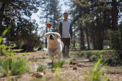 Ruffwear Huckama ™ - Hundleksak - Bild 6