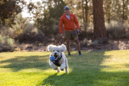 Ruffwear Huckama ™ - Hundleksak - Bild 5