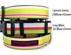 Wonderdog NYC Biscayne halsband