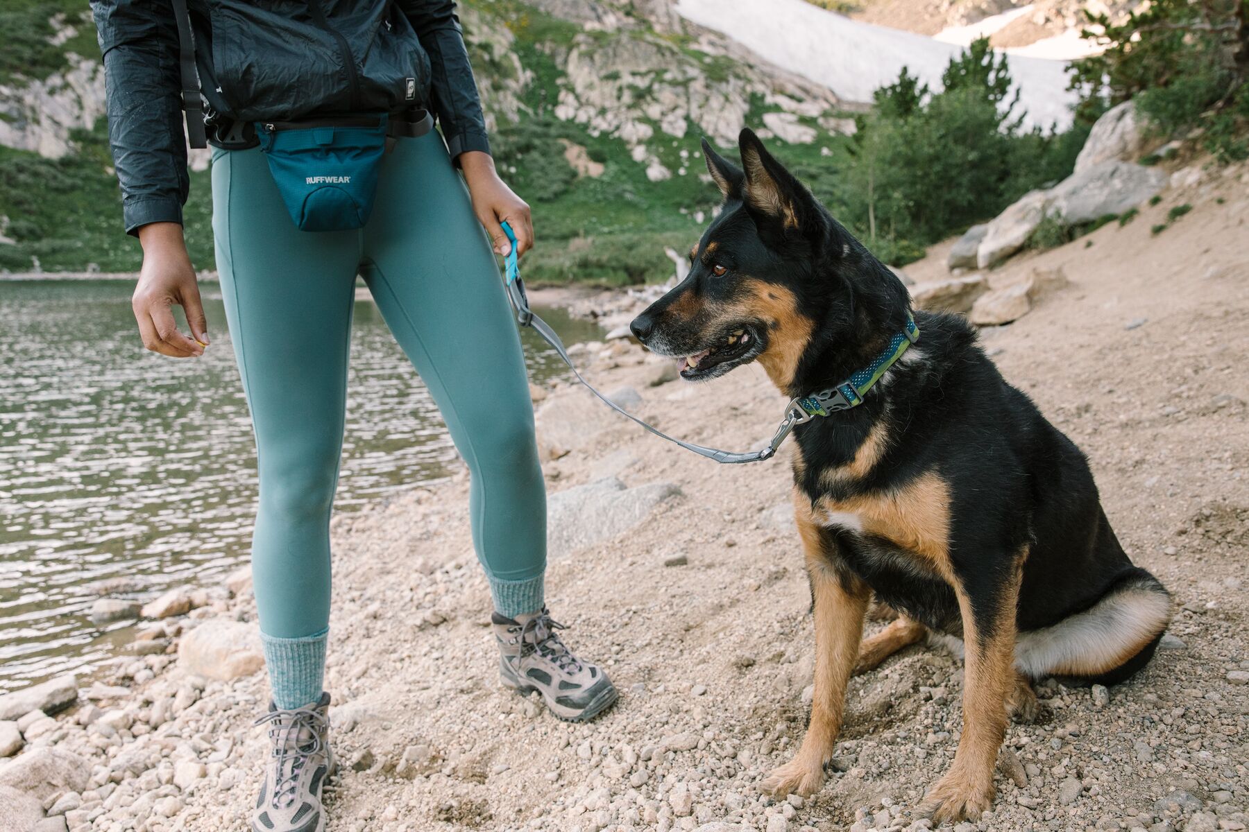 Ruffwear Quick Draw Leash Pongo