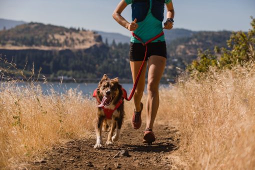 Ruffwear Roamer™ löpar/aktivitetskoppel - Bild 2