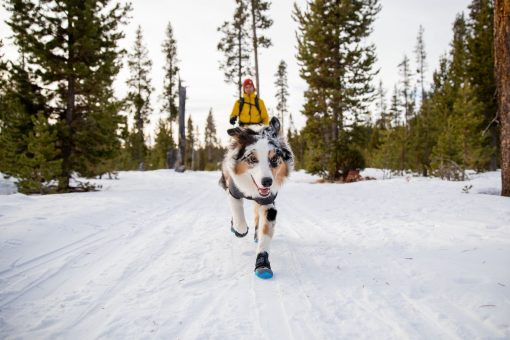 Hundskor Ruffwear Polar Trex dog Boots - Bild 6