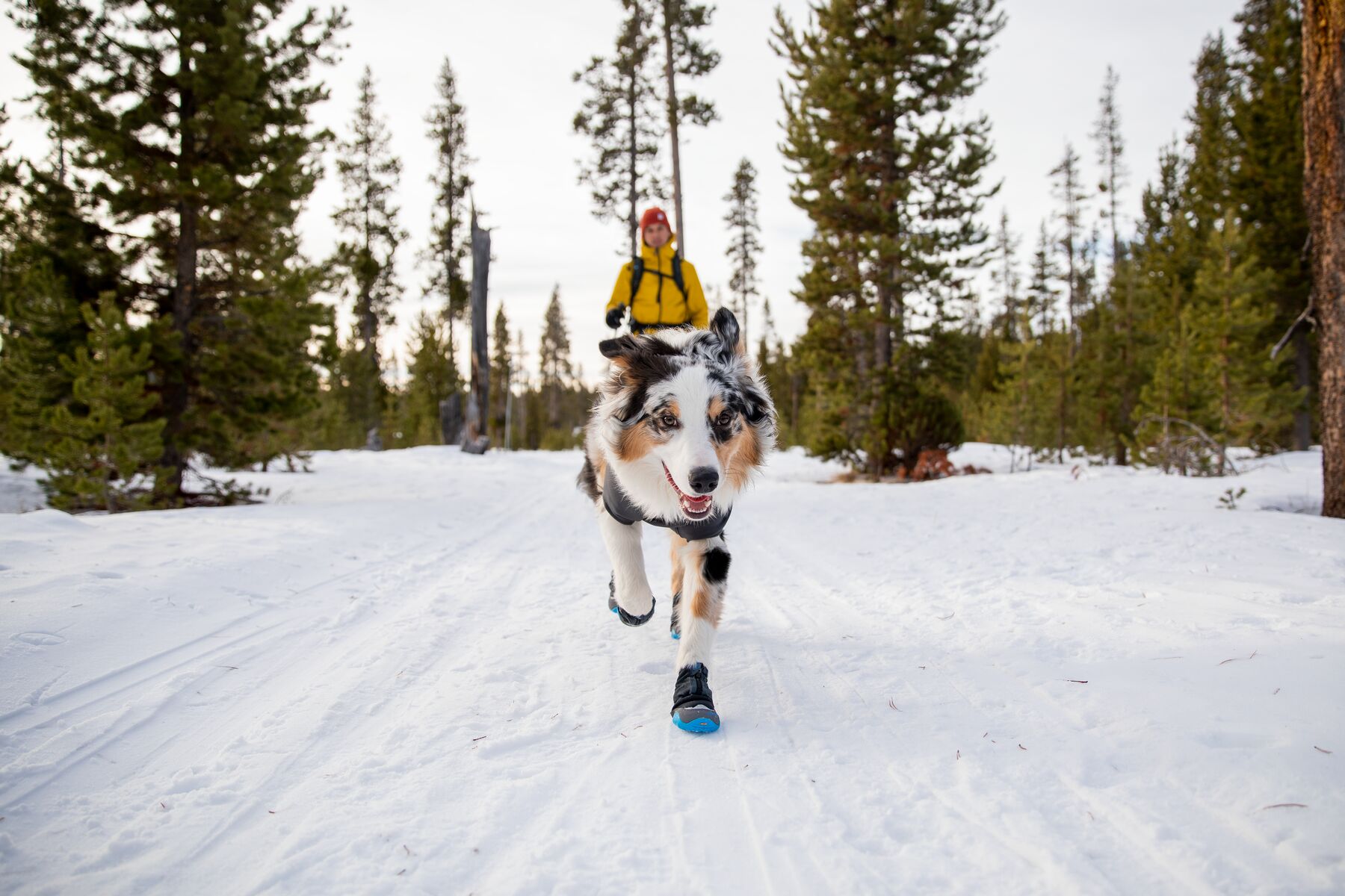 Hundskor Ruffwear Polar Trex dog Boots - Bild 6
