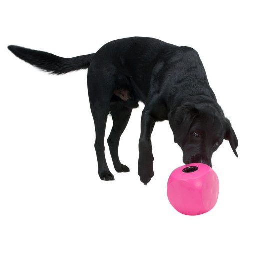 BUSTER Food Cube - Aktivitets kub för din hund i flera färger - Bild 3