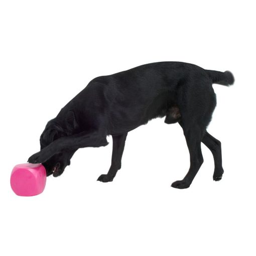 BUSTER Food Cube - Aktivitets kub för din hund i flera färger - Bild 4