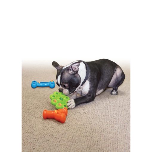 Kong Quest Bone - Bild 4